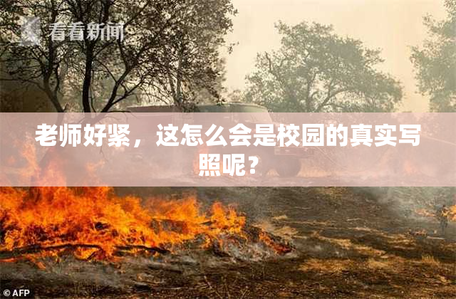 老师好紧，这怎么会是校园的真实写照呢？