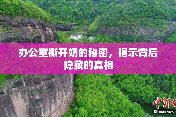 办公室撕开奶的秘密，揭示背后隐藏的真相