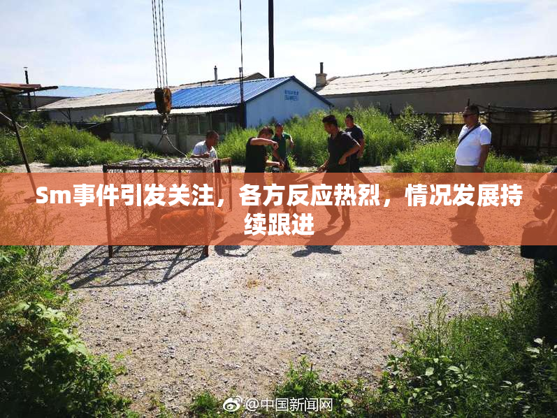 Sm事件引发关注，各方反应热烈，情况发展持续跟进