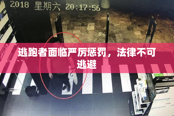 逃跑者面临严厉惩罚，法律不可逃避