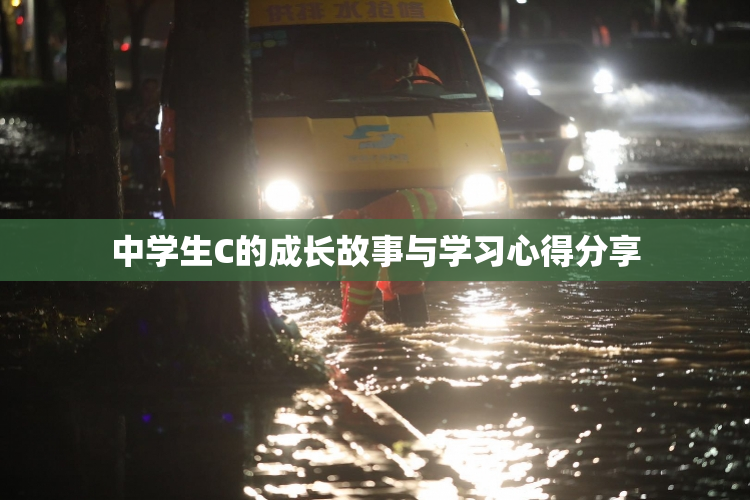 中学生C的成长故事与学习心得分享
