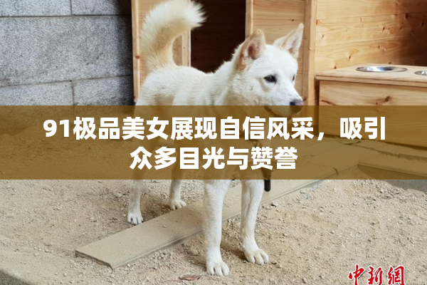 91极品美女展现自信风采，吸引众多目光与赞誉
