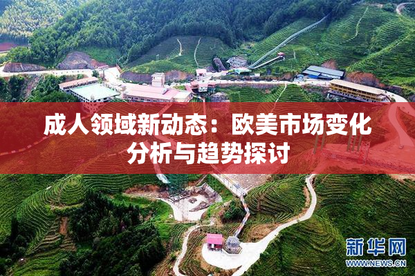 成人领域新动态：欧美市场变化分析与趋势探讨