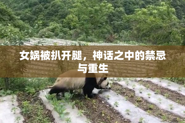 女娲被扒开腿，神话之中的禁忌与重生