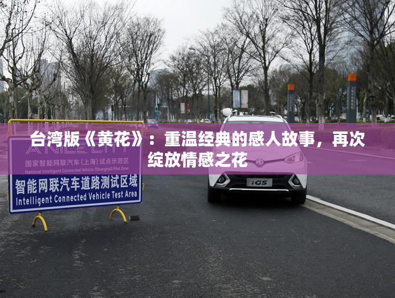 台湾版《黄花》：重温经典的感人故事，再次绽放情感之花