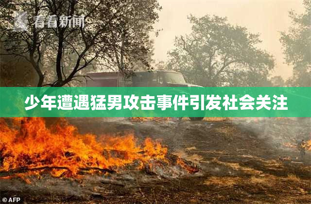 少年遭遇猛男攻击事件引发社会关注