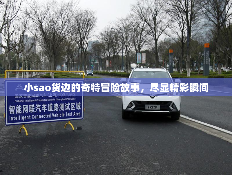 小sao货边的奇特冒险故事，尽显精彩瞬间