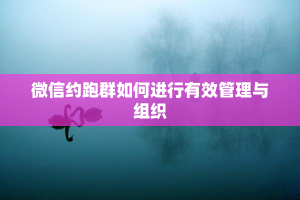 微信约跑群如何进行有效管理与组织