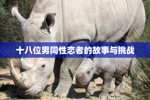 十八位男同性恋者的故事与挑战