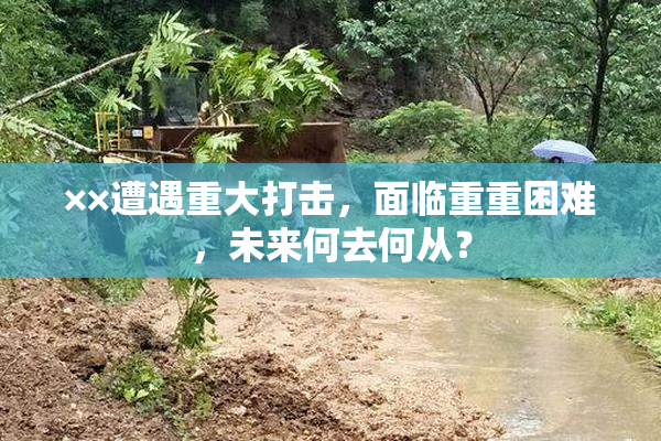 ××遭遇重大打击，面临重重困难，未来何去何从？