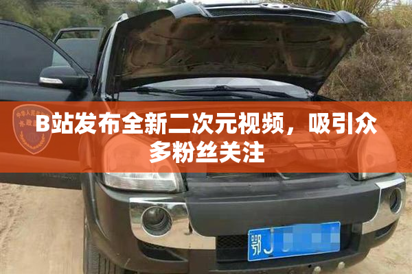 B站发布全新二次元视频，吸引众多粉丝关注