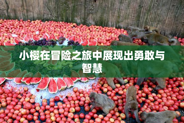 小樱在冒险之旅中展现出勇敢与智慧