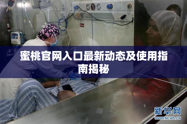 蜜桃官网入口最新动态及使用指南揭秘