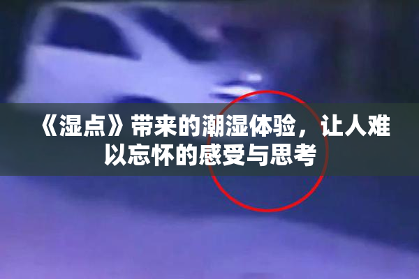 《湿点》带来的潮湿体验，让人难以忘怀的感受与思考
