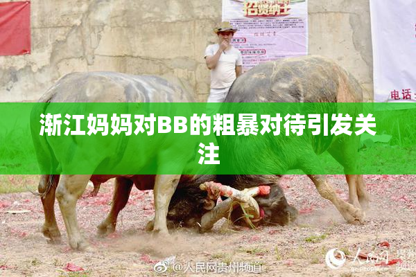 渐江妈妈对BB的粗暴对待引发关注
