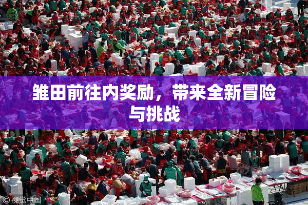 雏田前往内奖励，带来全新冒险与挑战