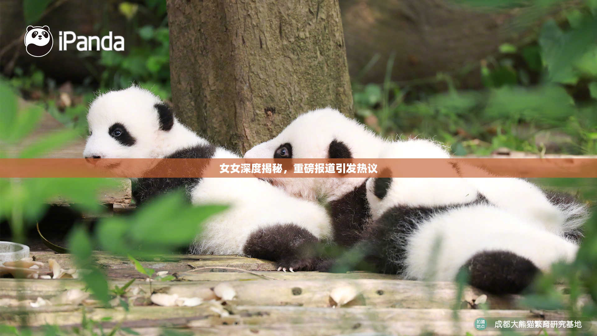 女女深度揭秘，重磅报道引发热议