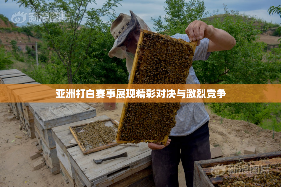 亚洲打白赛事展现精彩对决与激烈竞争