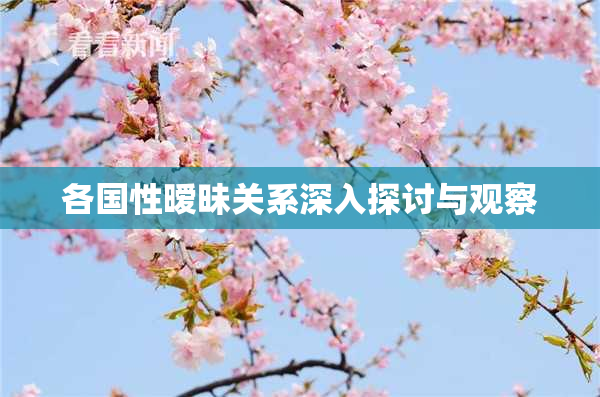 各国性暧昧关系深入探讨与观察