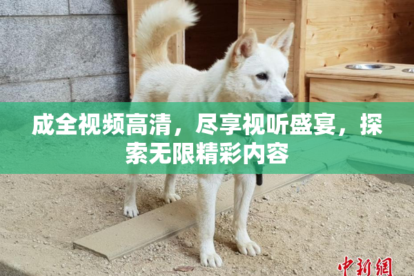 成全视频高清，尽享视听盛宴，探索无限精彩内容