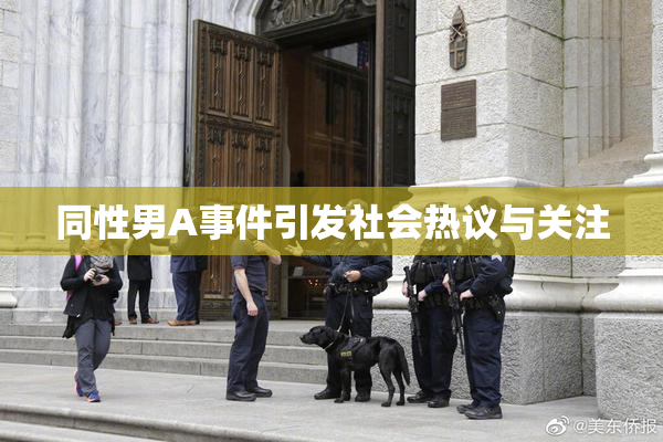 同性男A事件引发社会热议与关注