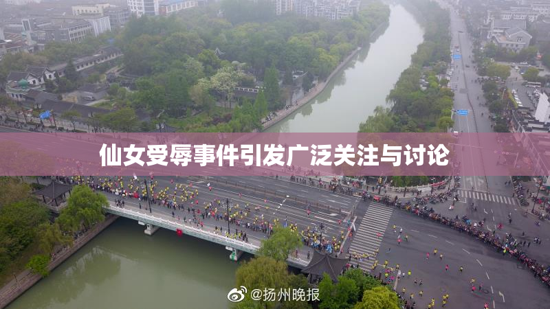 仙女受辱事件引发广泛关注与讨论
