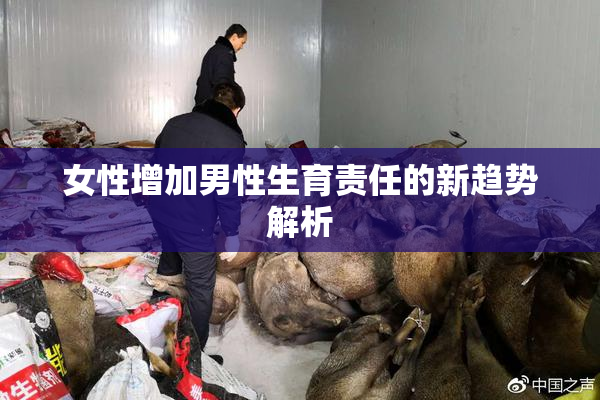 女性增加男性生育责任的新趋势解析