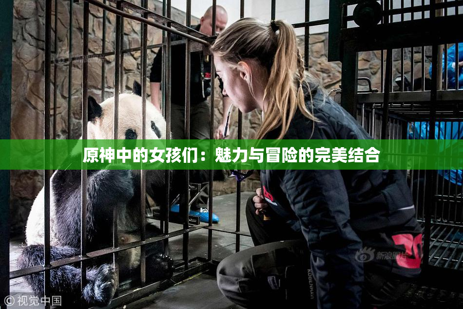 原神中的女孩们：魅力与冒险的完美结合