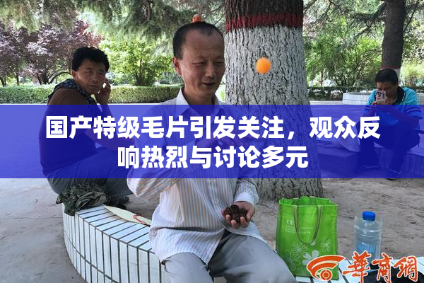 国产特级毛片引发关注，观众反响热烈与讨论多元
