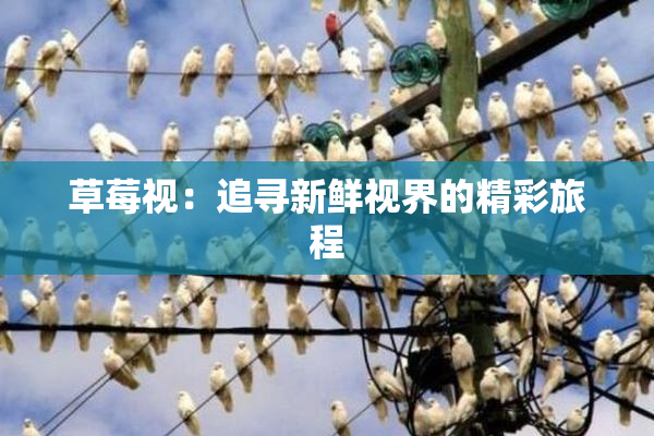 草莓视：追寻新鲜视界的精彩旅程