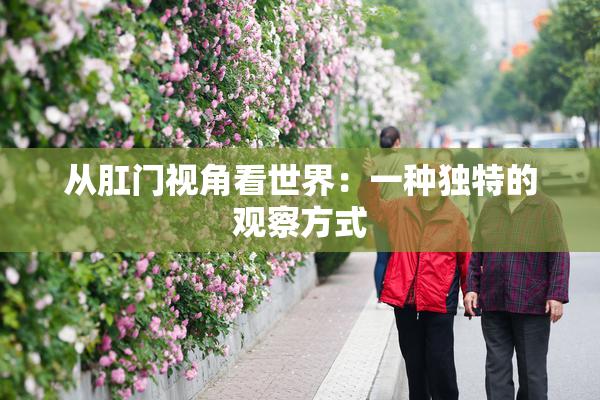 从肛门视角看世界：一种独特的观察方式
