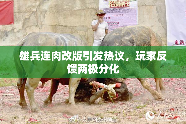 雄兵连肉改版引发热议，玩家反馈两极分化