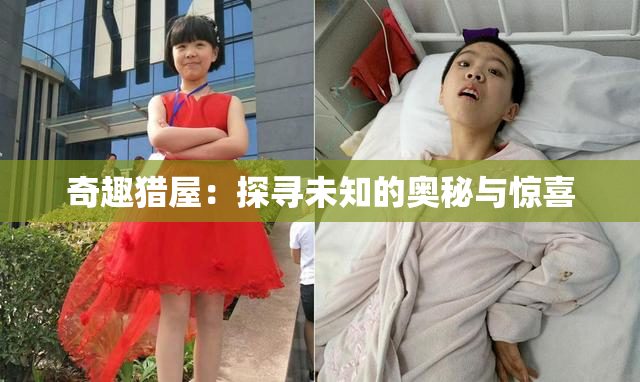 奇趣猎屋：探寻未知的奥秘与惊喜