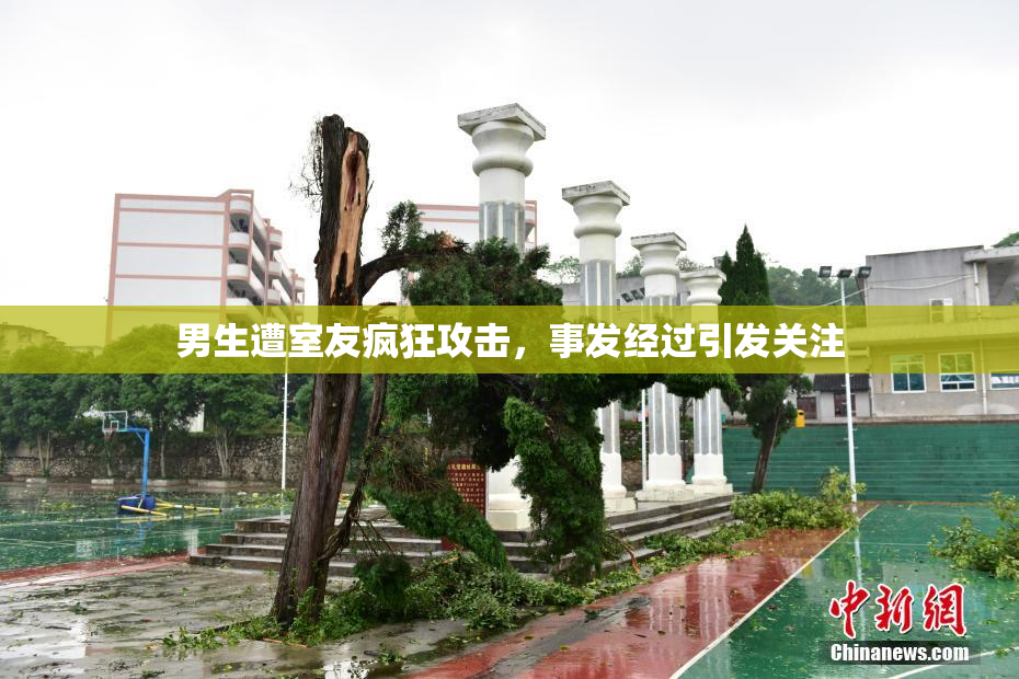 男生遭室友疯狂攻击，事发经过引发关注