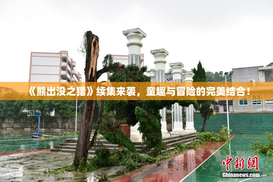 《熊出没之猎》续集来袭，童趣与冒险的完美结合！