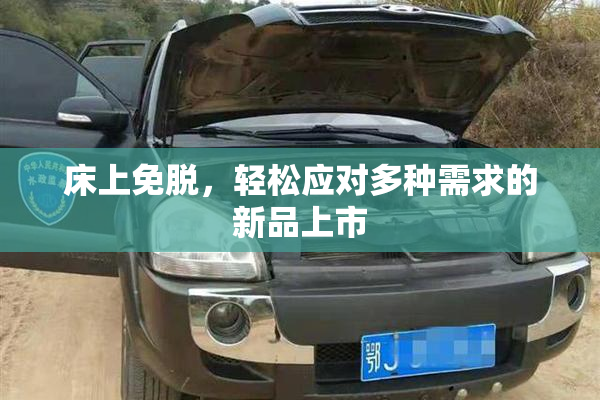 床上免脱，轻松应对多种需求的新品上市