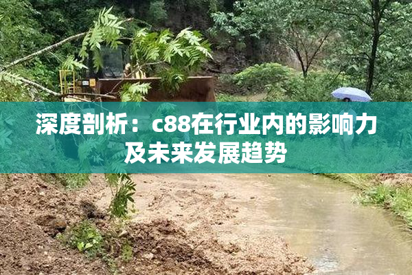 深度剖析：c88在行业内的影响力及未来发展趋势