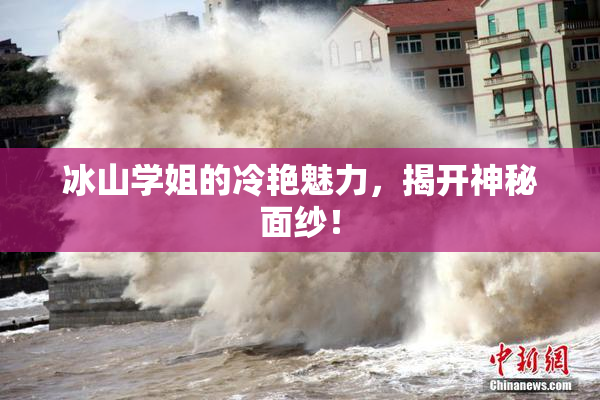 冰山学姐的冷艳魅力，揭开神秘面纱！