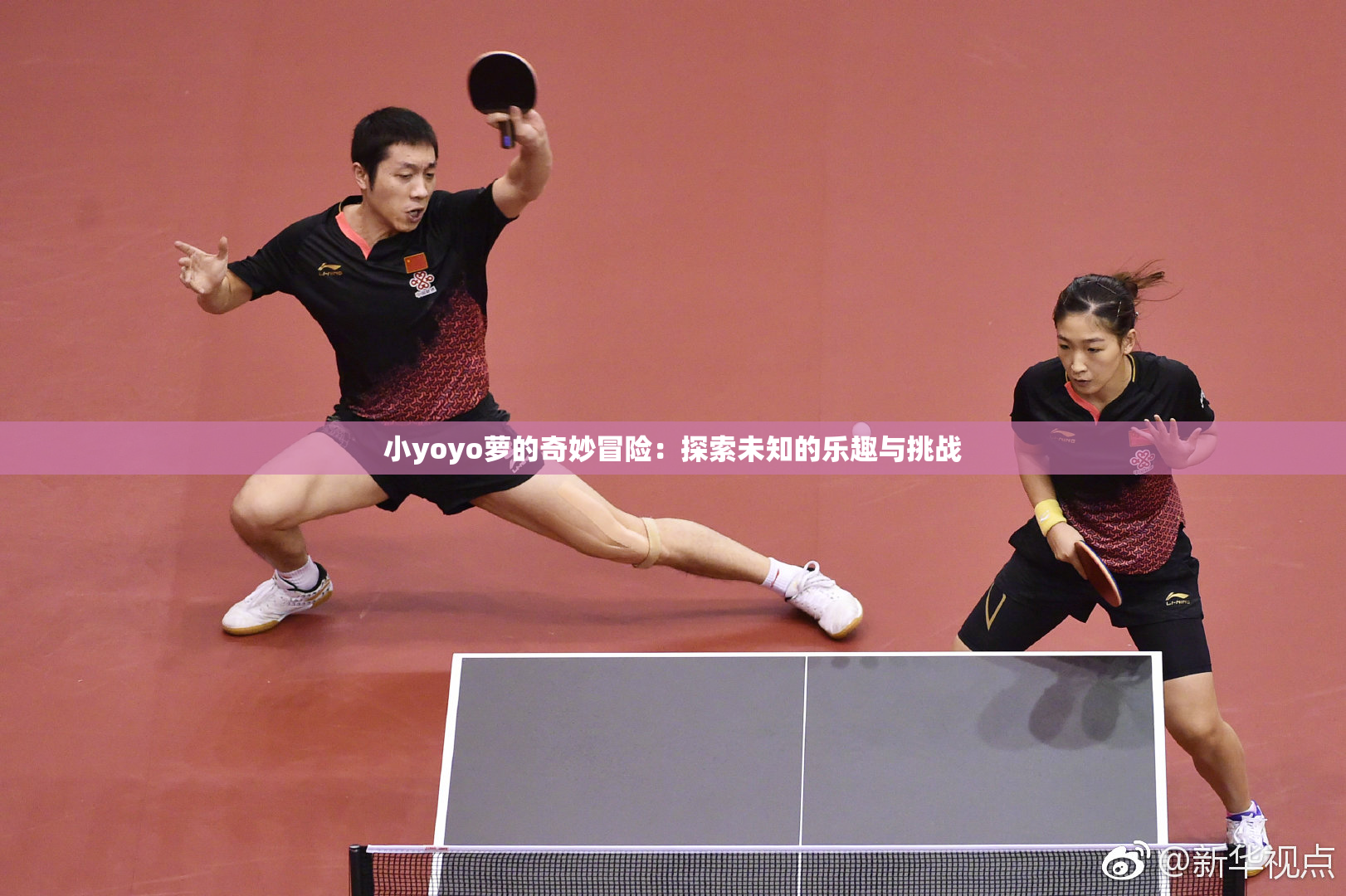 小yoyo萝的奇妙冒险：探索未知的乐趣与挑战