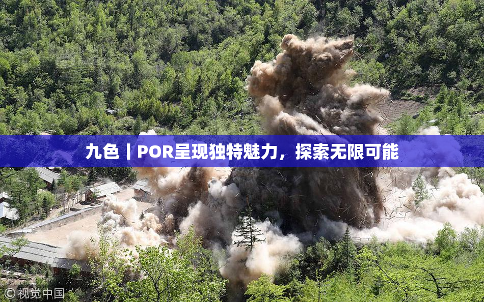 九色丨POR呈现独特魅力，探索无限可能