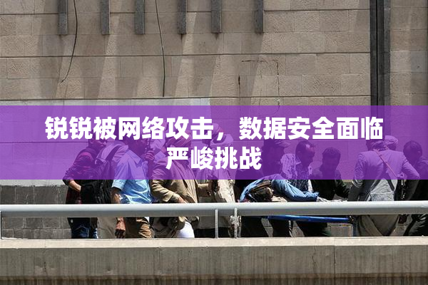 锐锐被网络攻击，数据安全面临严峻挑战
