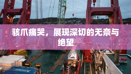 骇爪痛哭，展现深切的无奈与绝望