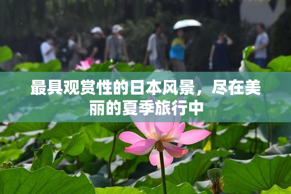 最具观赏性的日本风景，尽在美丽的夏季旅行中