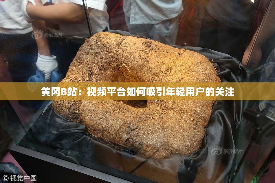 黄冈B站：视频平台如何吸引年轻用户的关注