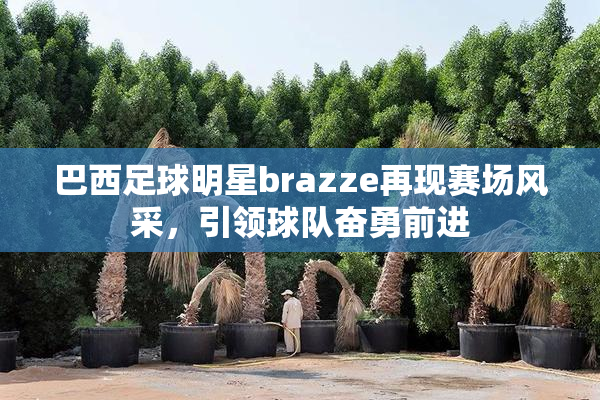 巴西足球明星brazze再现赛场风采，引领球队奋勇前进