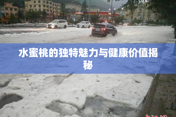 水蜜桃的独特魅力与健康价值揭秘