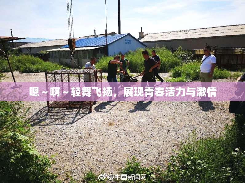 嗯～啊～轻舞飞扬，展现青春活力与激情