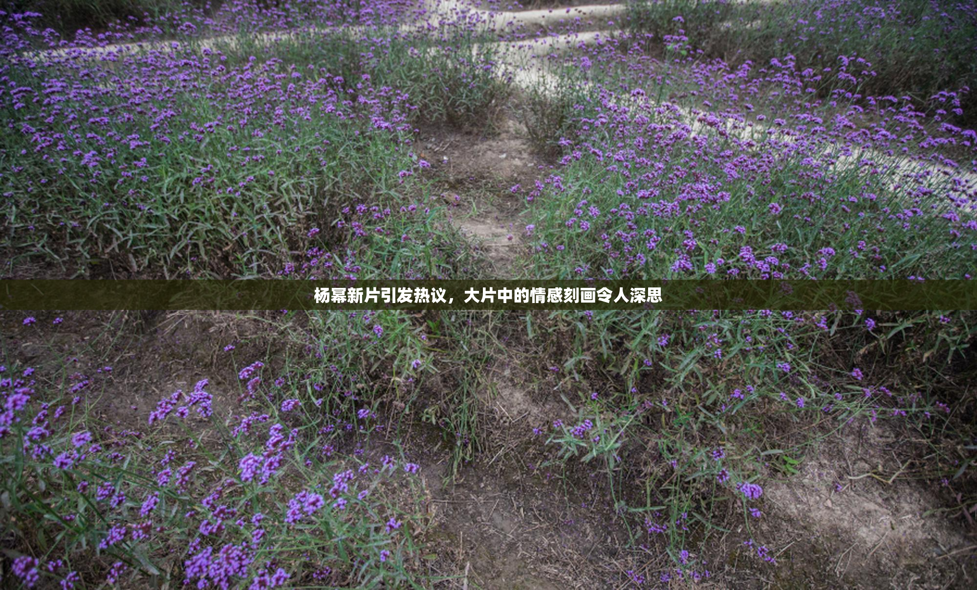 杨幂新片引发热议，大片中的情感刻画令人深思