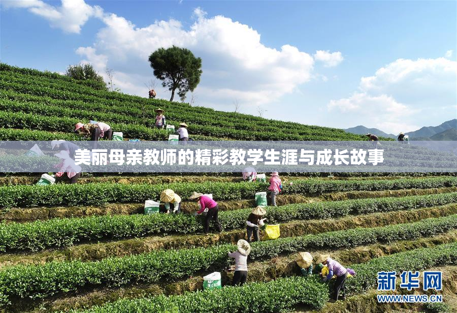 美丽母亲教师的精彩教学生涯与成长故事