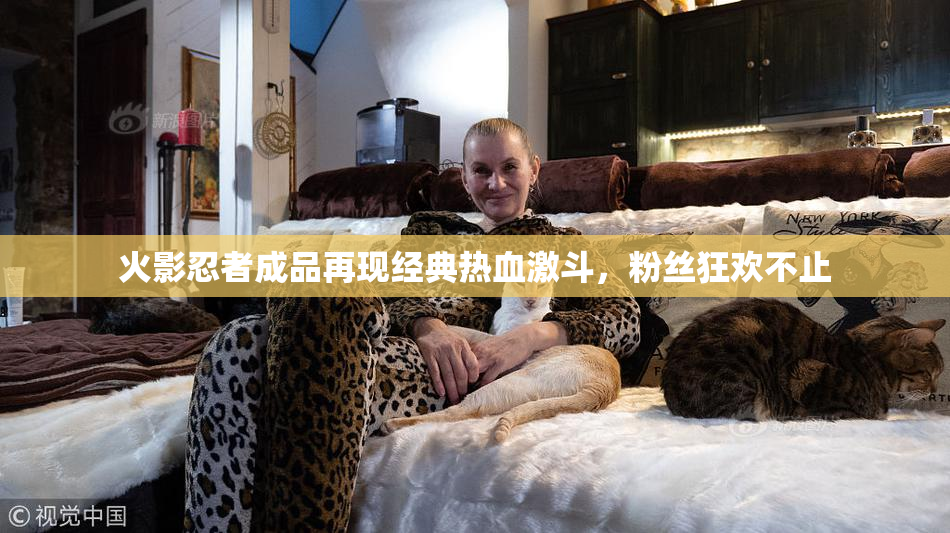 火影忍者成品再现经典热血激斗，粉丝狂欢不止